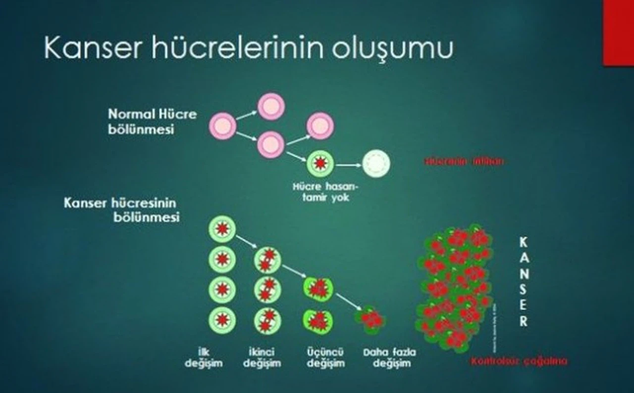 Kanser Nedir Neden Oluşur?