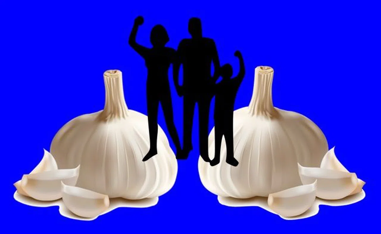 Kışın hastalanmamak için sarımsak tüketin