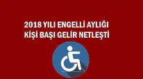 Evde bakım maaşı ve 2022 engelli aylığı 2018 yılı kişi başı gelir netleşti