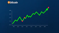Bitcoin Boğa Sezonlarında Kaç Düzeltme Yapar? Tarihsel Veriler ve Oranlar