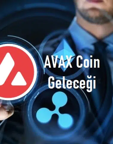 AVAX Coin Geleceği – Yorum 2022