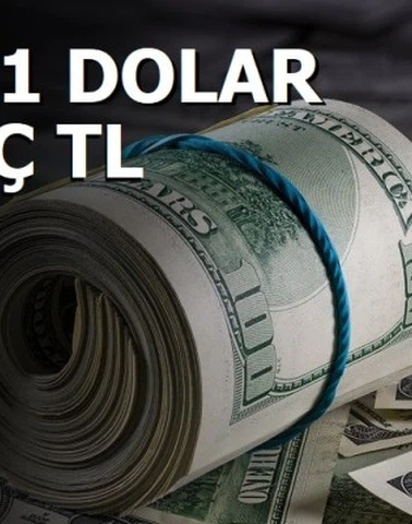 0.01 Dolar Kaç TL?
