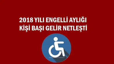 Evde bakım maaşı ve 2022 engelli aylığı 2018 yılı kişi başı gelir netleşti