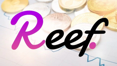 Reef Coin Geleceği – Yorum 2022