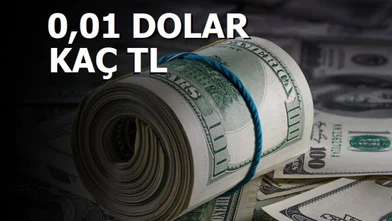 0.01 Dolar Kaç TL?