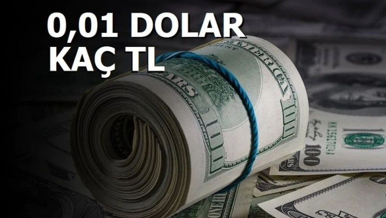 0.01 Dolar Kaç TL?
