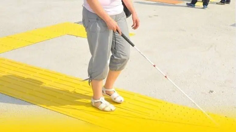 Görme engelli rapor oranı