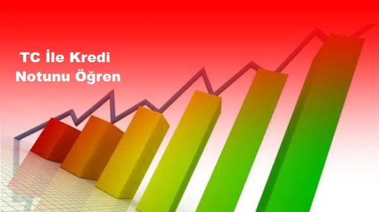 TC No İle Kredi Notu Öğrenme