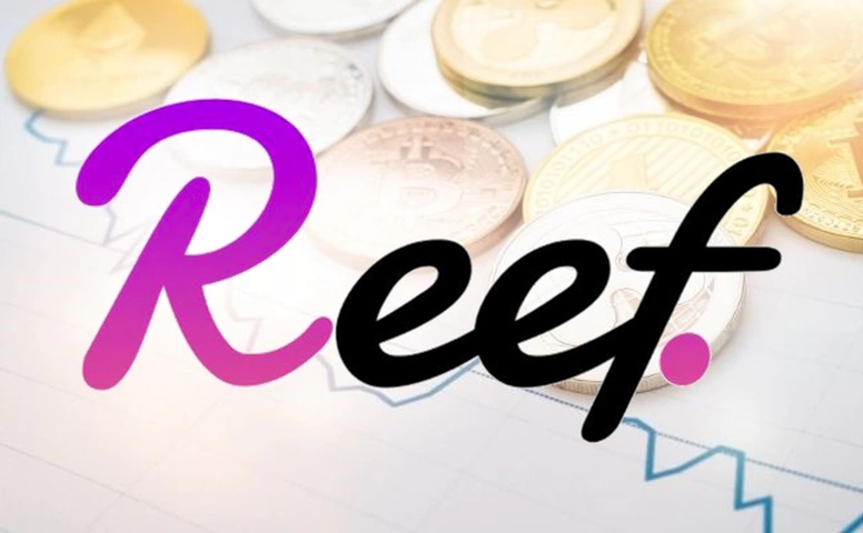 Reef Coin Geleceği – Yorum 2022