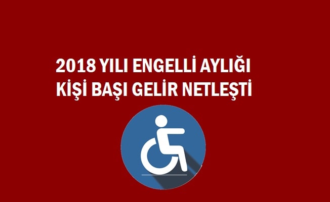 Evde bakım maaşı ve 2022 engelli aylığı 2018 yılı kişi başı gelir netleşti