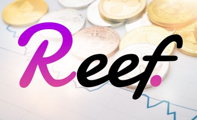 Reef Coin Geleceği – Yorum 2022