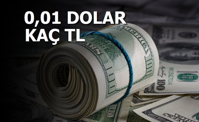 0.01 Dolar Kaç TL?